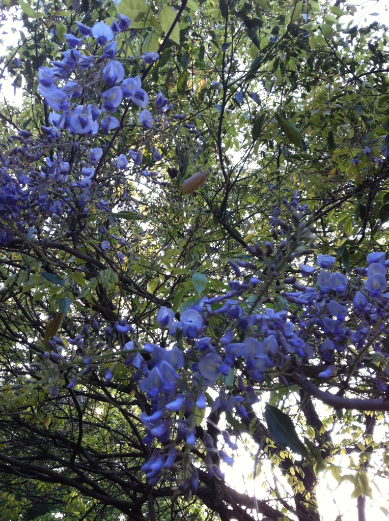 2015-04-15 17.13.36