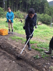 17523148_1173741106068185_1777742639961126184_n