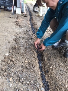 17861988_1173741159401513_8343177366954039107_n