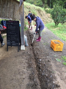 17883764_1173741112734851_9196826111841325845_n