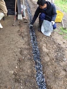 17884196_1173741162734846_1699734488737596653_n