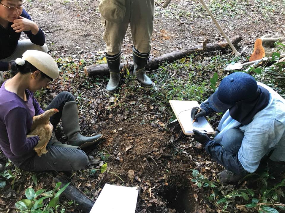 45719080_1781085608667062_4378254262421946368_n