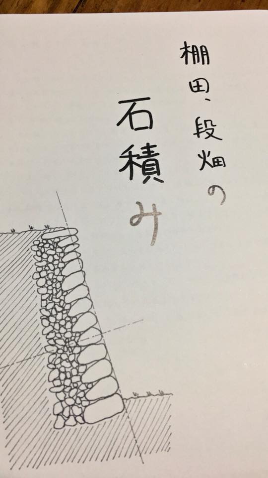 45723585_1779802098795413_8068794238239768576_n