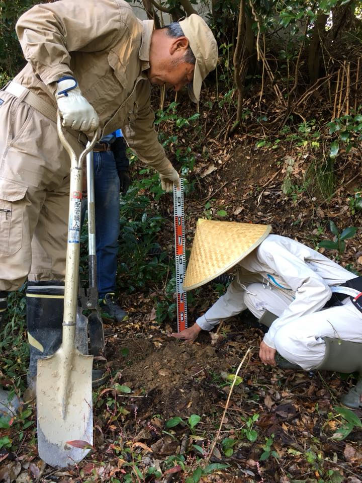 45757361_1780528265389463_2695318696678653952_n