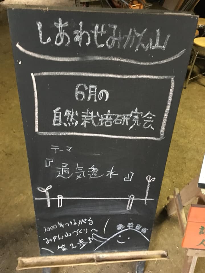 64255993_2092798637495756_6976659289809092608_n