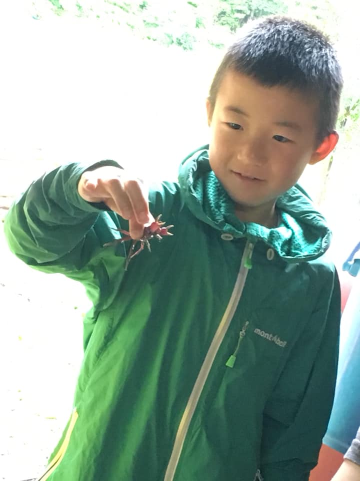 65245888_2108404499268503_8183550047787417600_n