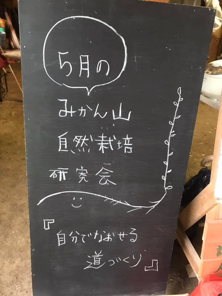 97992761_2758600840915529_3659938402553298944_n
