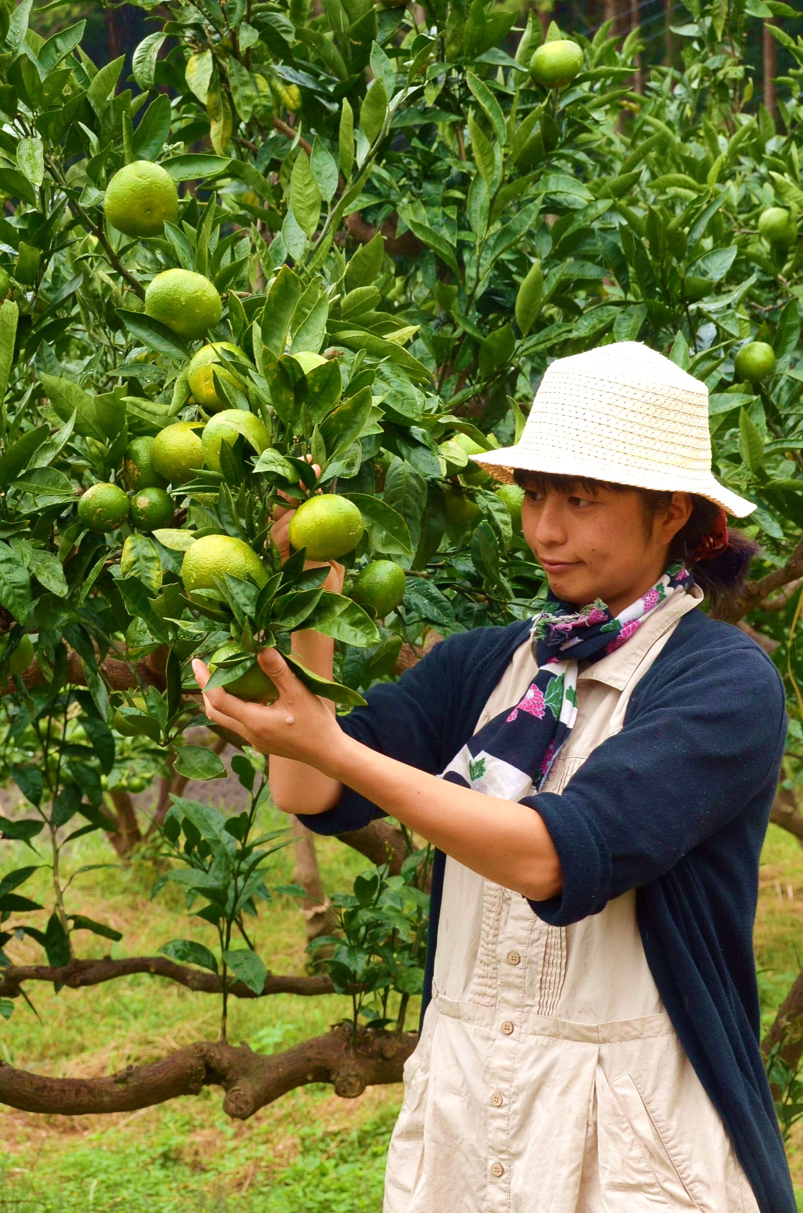 しあわせみかん山の全国のサポーターのみなさんへ