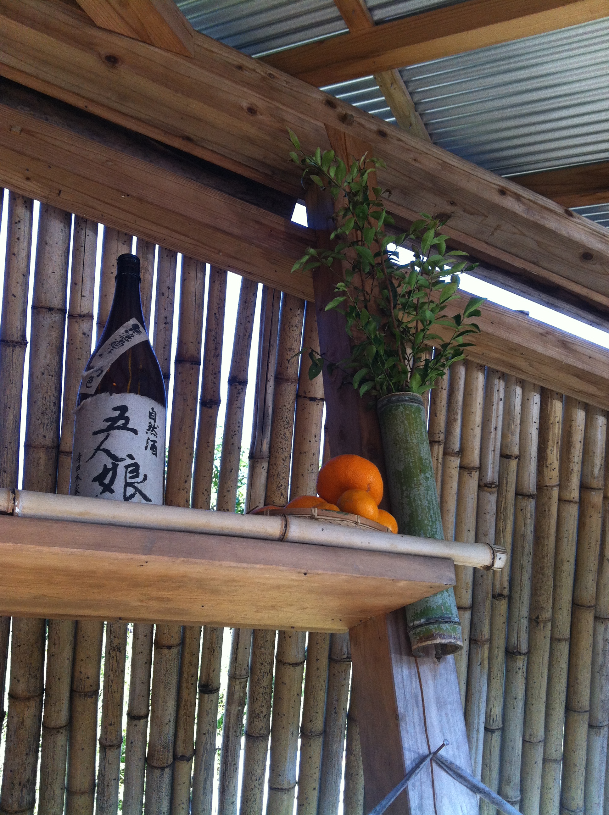 「 みかん山収穫祭 」