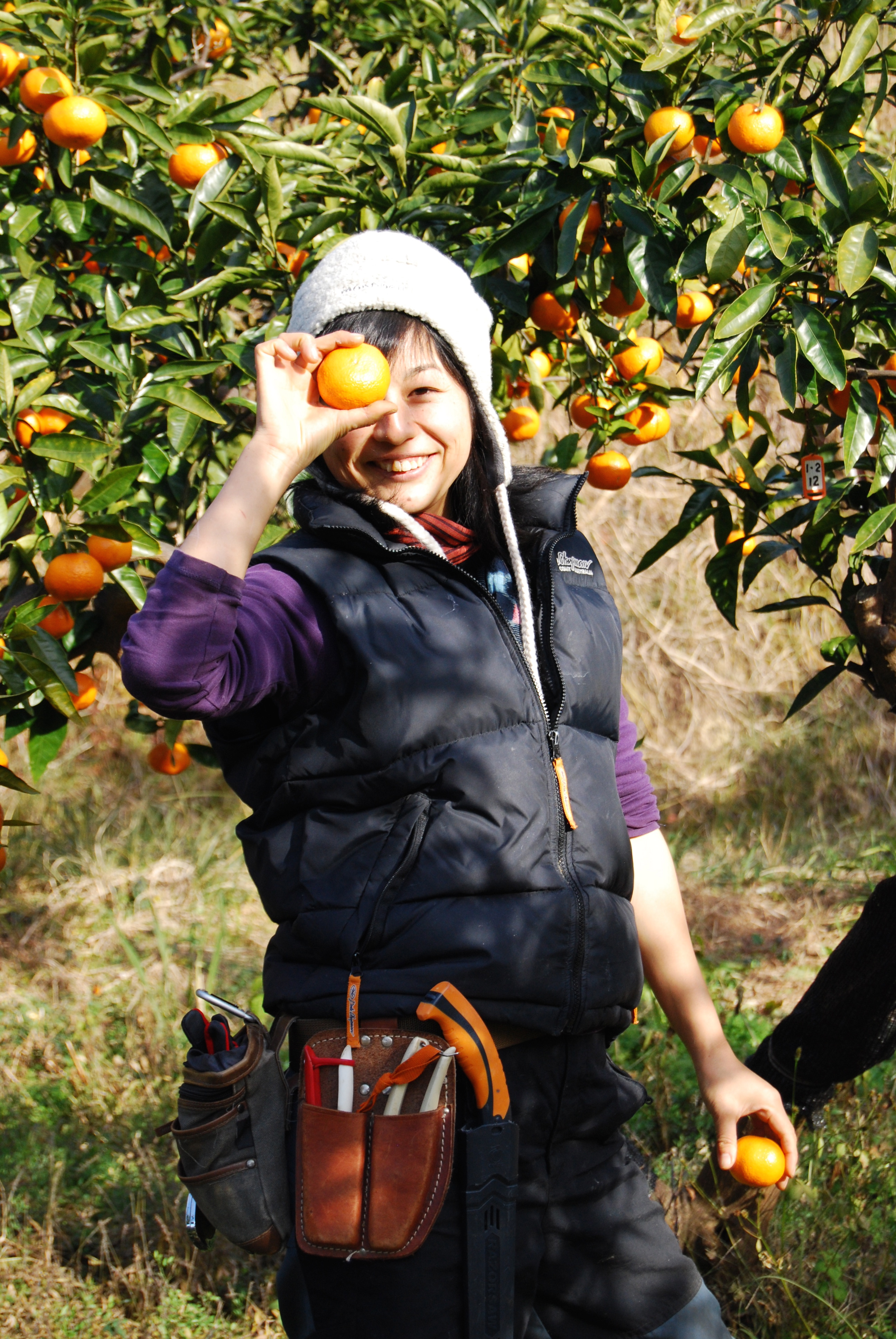 「　2015年も、よろしくお願いします。」
