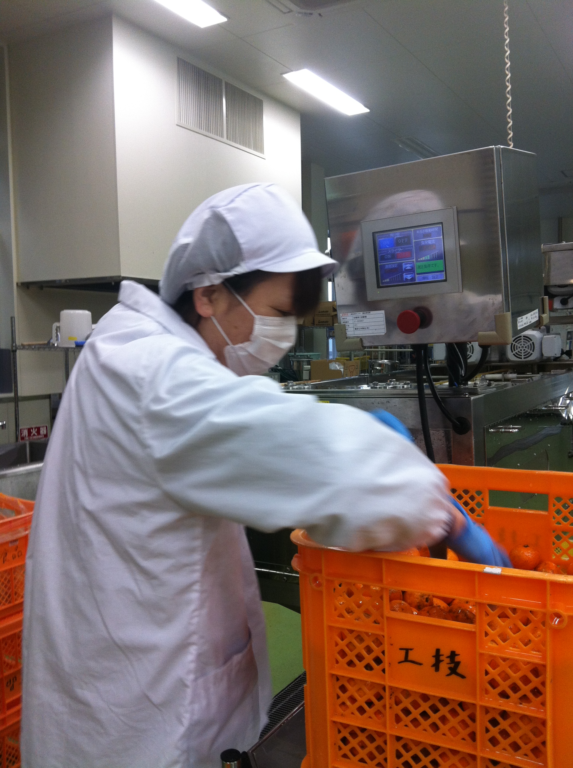 「　加工品づくりスタート！　」