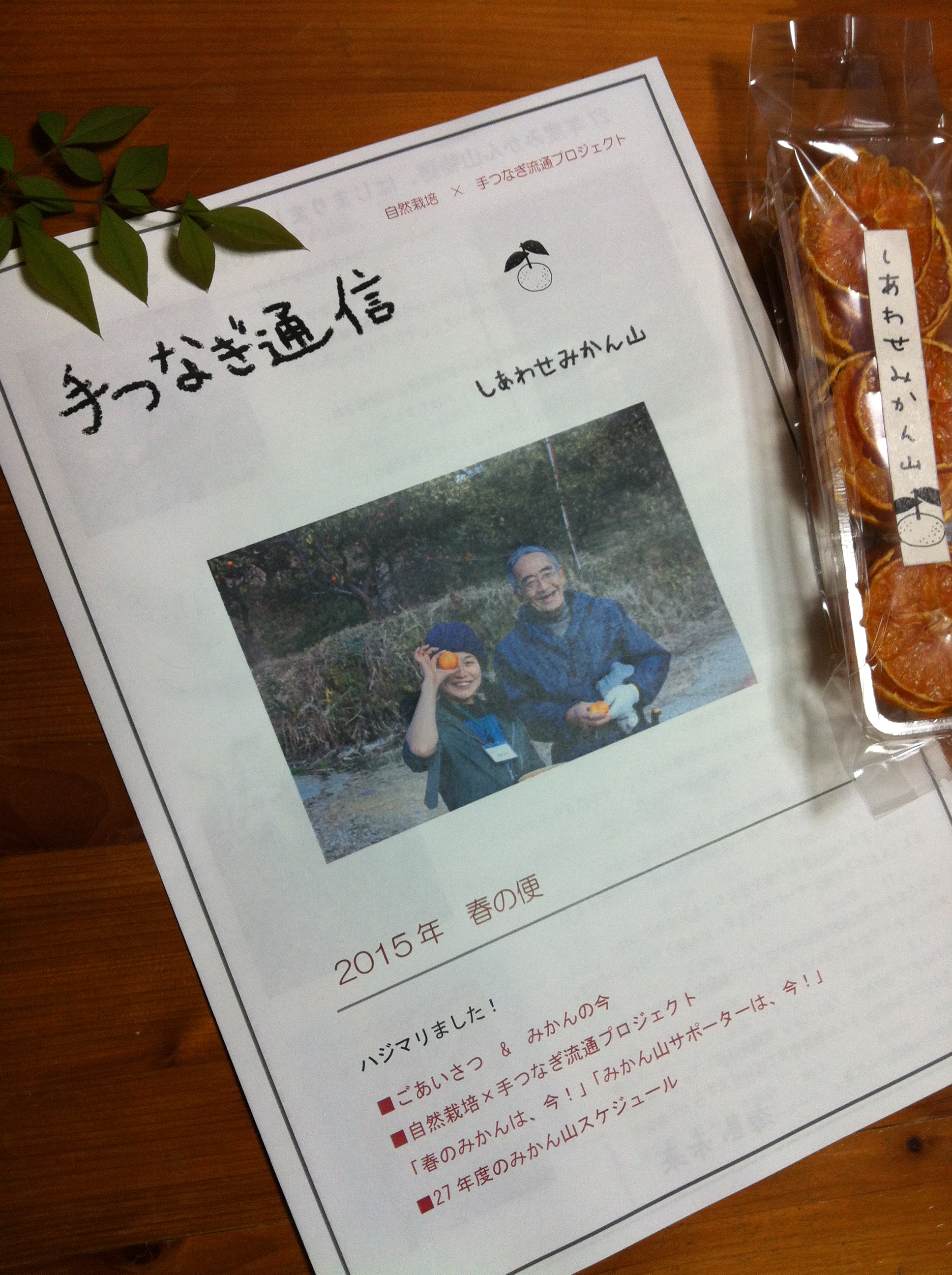 「　春のお便りが出来ました！　」