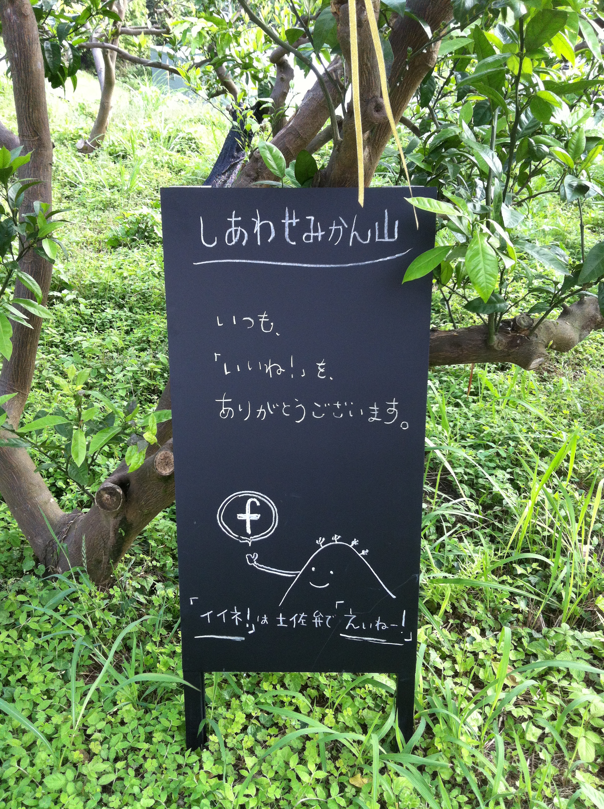 「　いつも、フェイスブックで、イイね！してます！　」