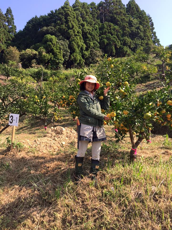 「山が黄色くなり始めました*\(^o^)/*」