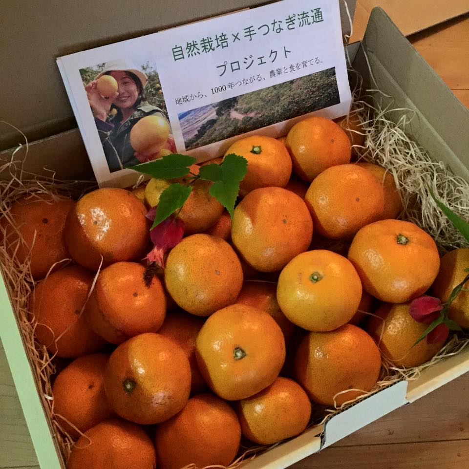「27年度、サポーターセットができました*\(^o^)/*」▪今年は配当が増えました♪