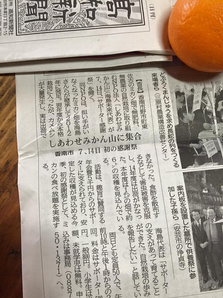 「しあわせみかん山に集合!」 〜高知新聞に載りました!〜