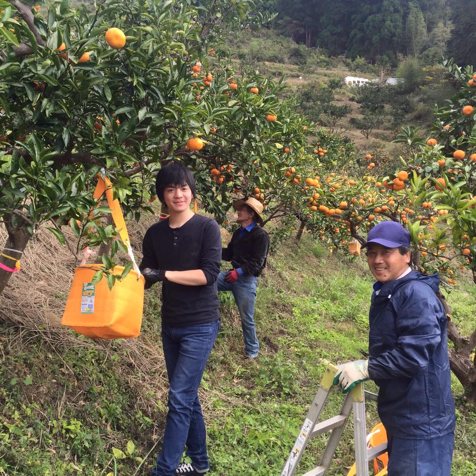 「援農サポーター、大活躍中です*\(^o^)/*」
