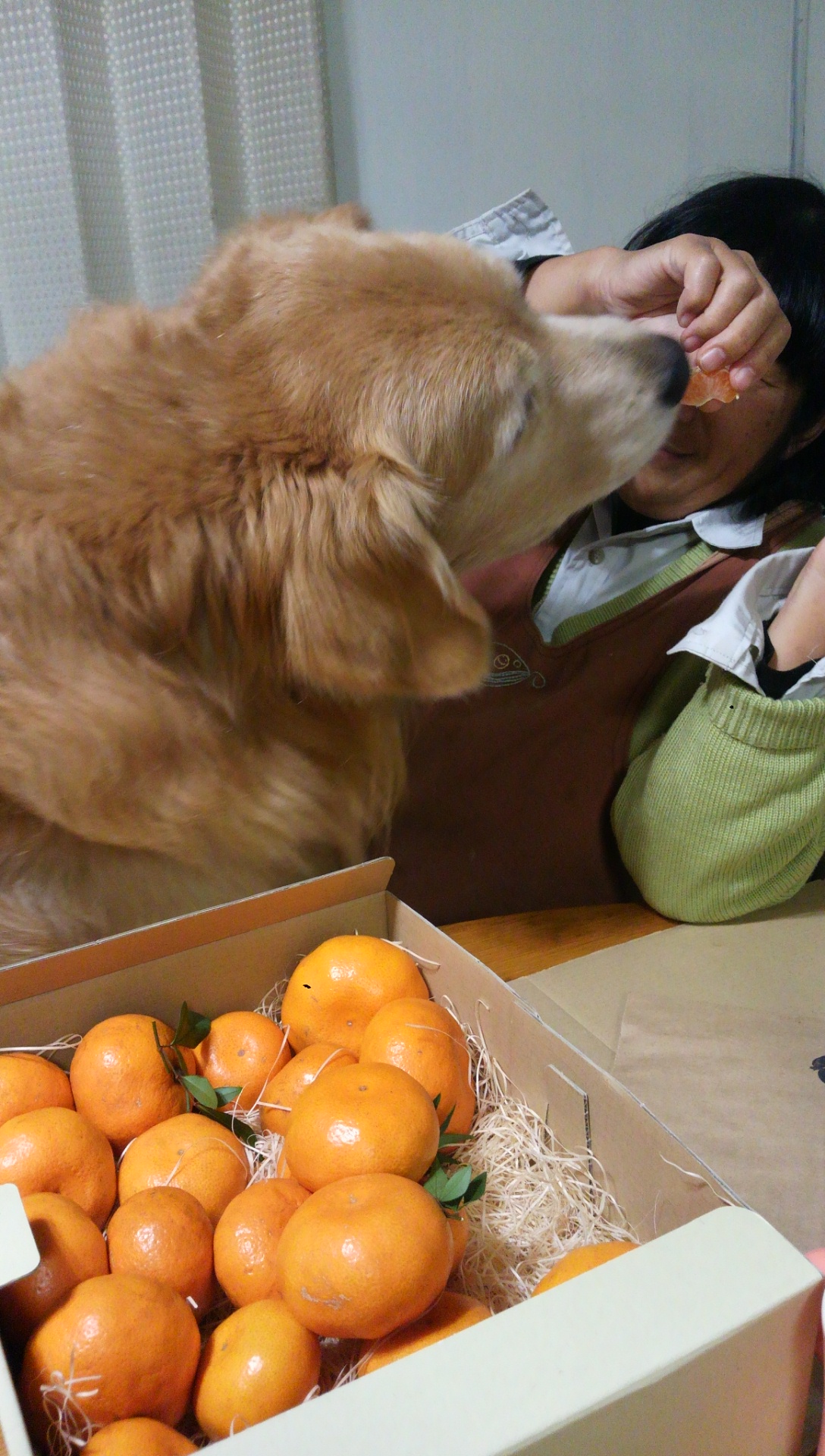 「全国のサポーターのみなさんから、 たくさん声が届いています！」