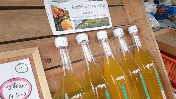「日曜市デビュー！」