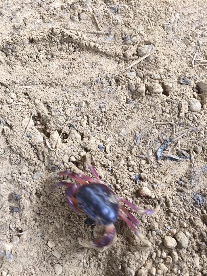 [雨の日のシゴト ②」