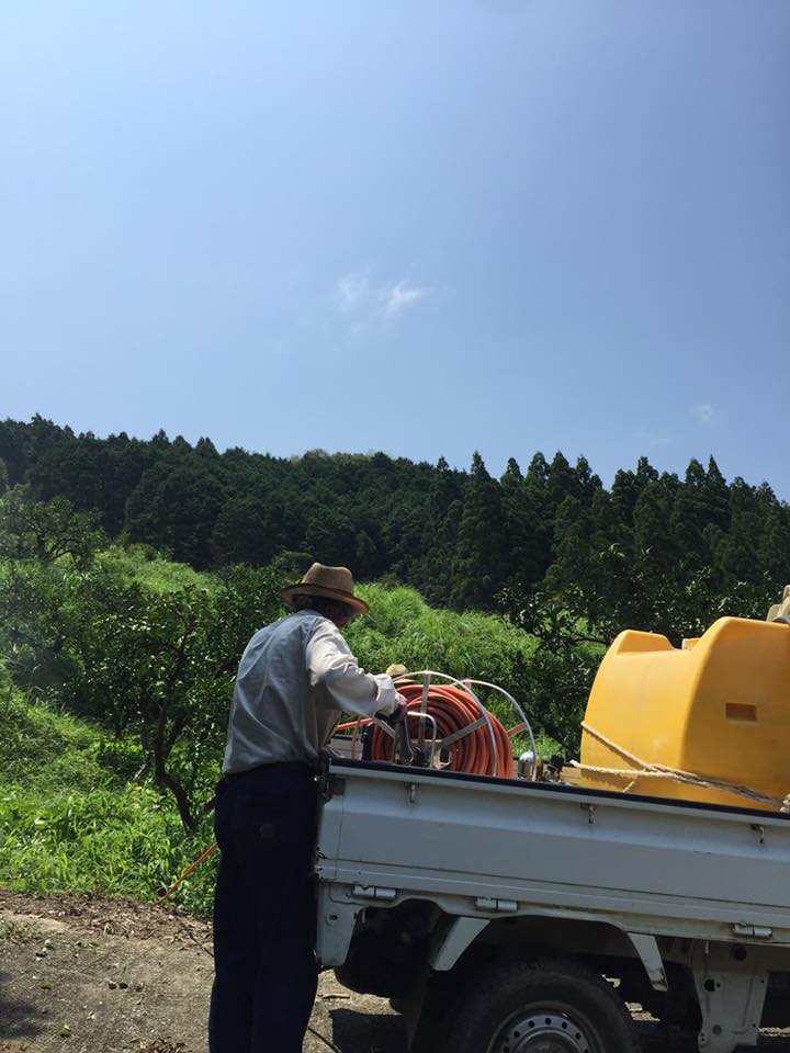 「夏が来たーー！！」