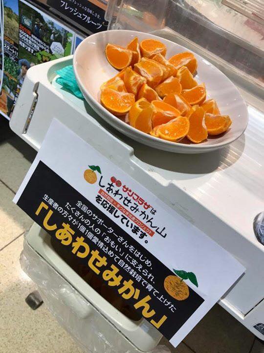 期間限定！ サンプラザで、しあわせみかんの試食販売開催中です！！