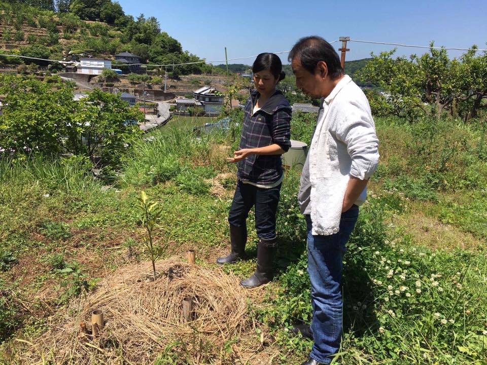 ナチュラルハーモニーさんが、みかん山に来てくれました♪
