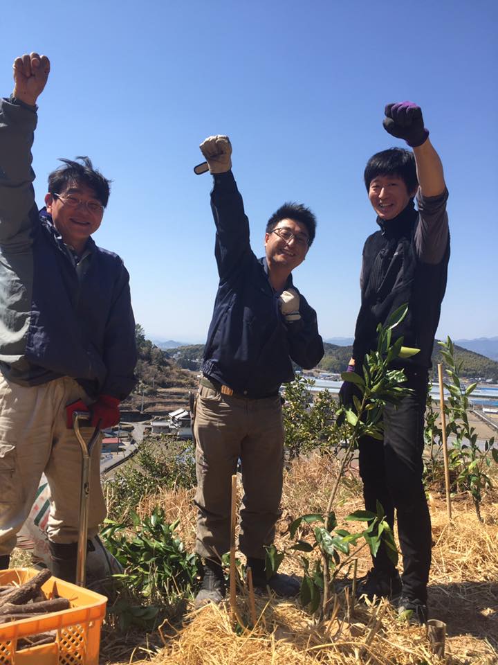 「みかん山植樹ウィーク♪開催中！」