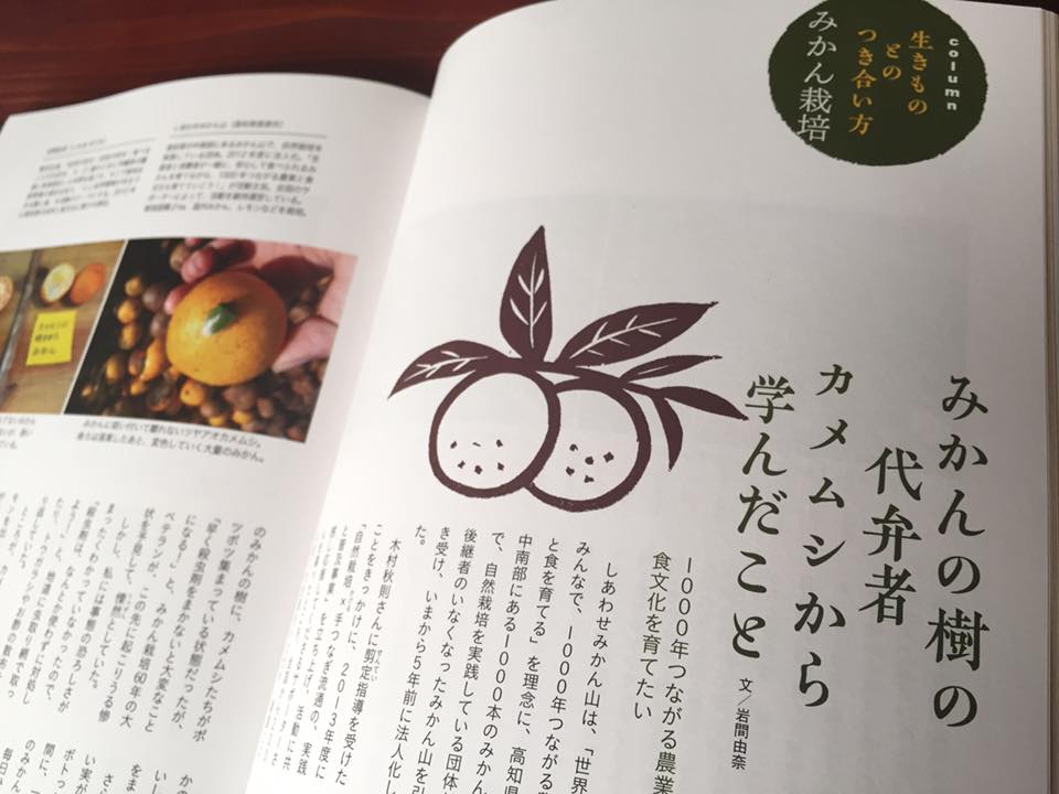 みかん山のレポートが掲載されました♪