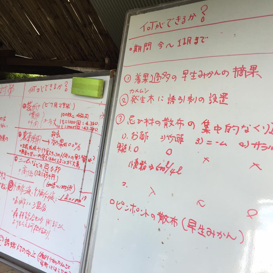 カメムシ発生中③!