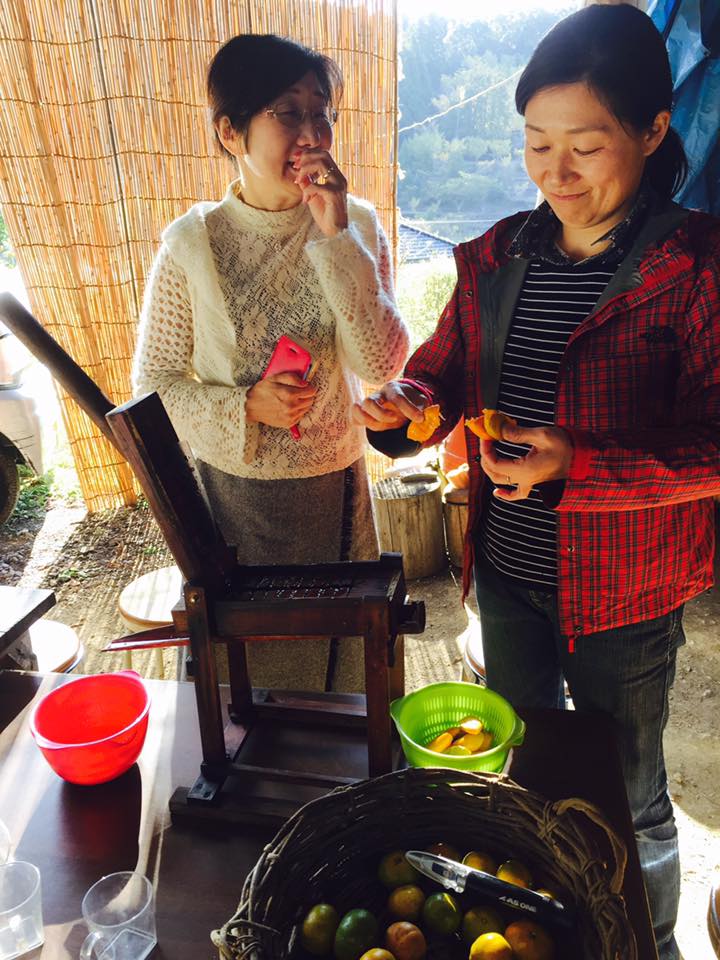 サポーターさん限定！ みかん山体験ツアー、はじめました♪