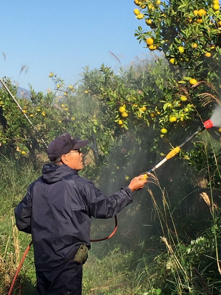 カメムシ対策、効果バツグン！！