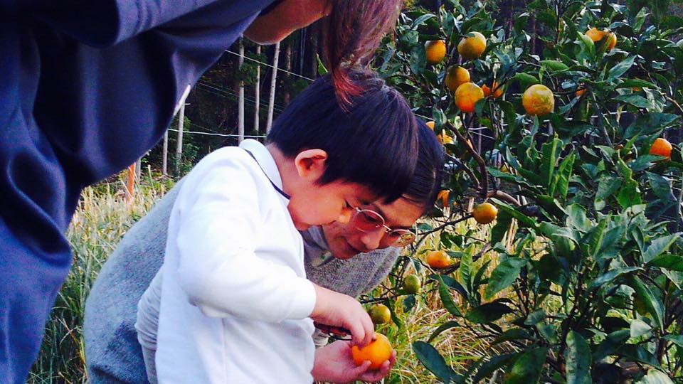 子どもちゃんも、お手伝い🍊