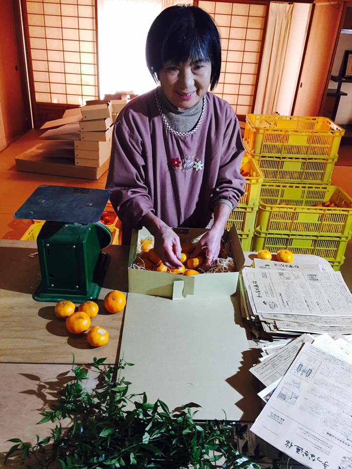 しあわせみかん、全国発送中♪