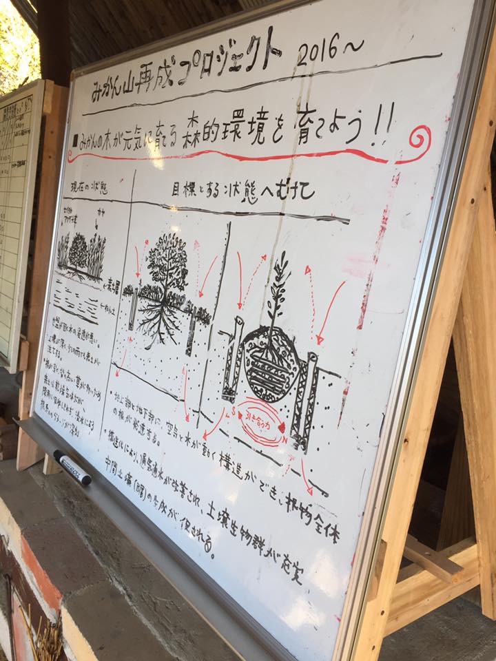 もとやん大工