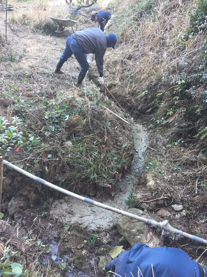 溜り水を流す