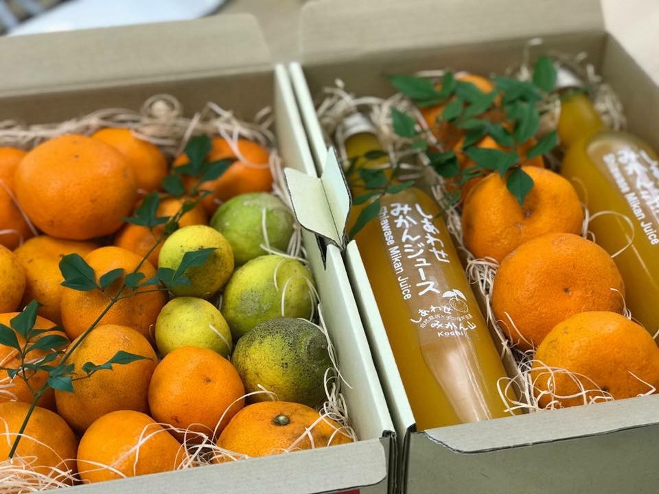 富士通YFCの実りは社員です。