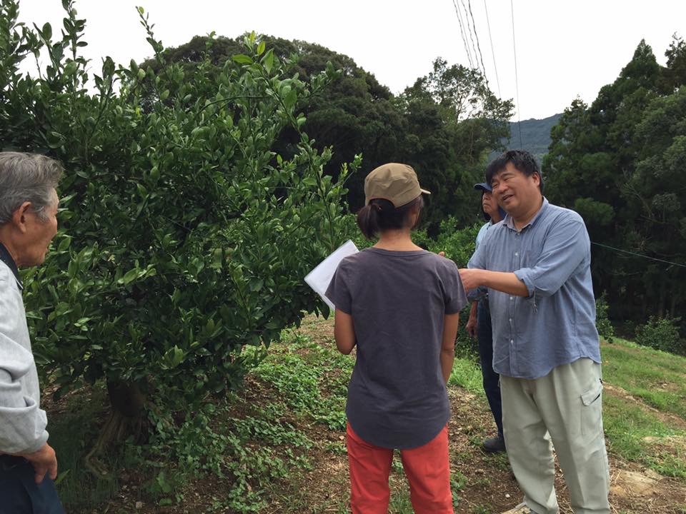 9月のみかん山自然栽培研究会  2日目