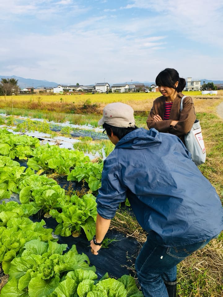 無農薬栽培農家ツアー♪in南国