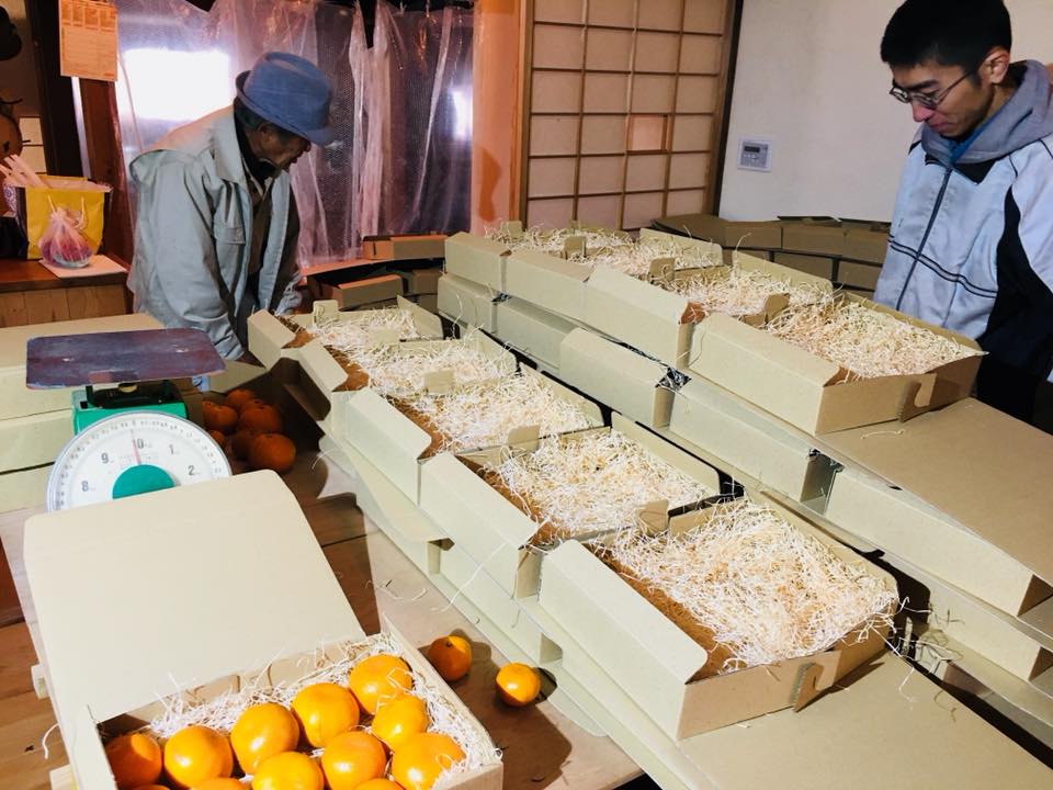 「みかんの下のパートナー、もくめん！」