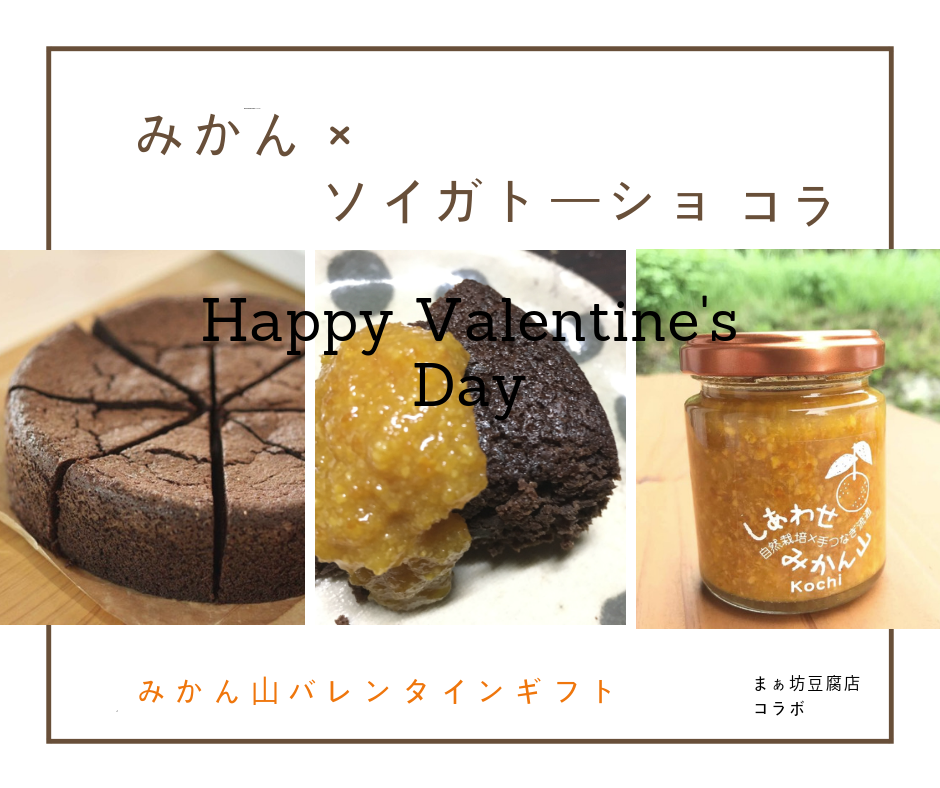 「みかん山のバレンタインギフト♪」