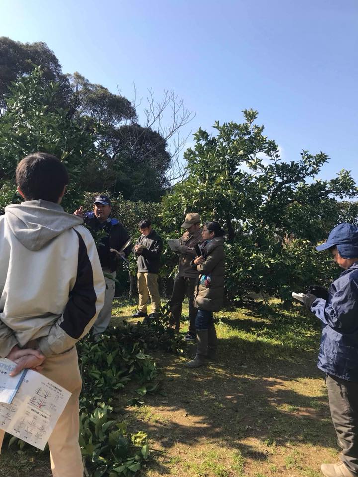 2月のみかん山自然栽培研究会♪