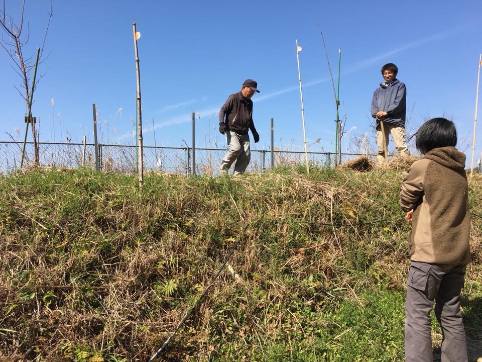 自然栽培7年目の春。