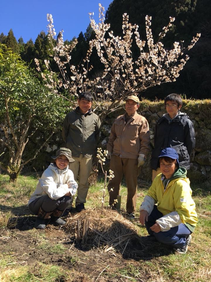安田町の有機栽培柚子畑ツアー①♪