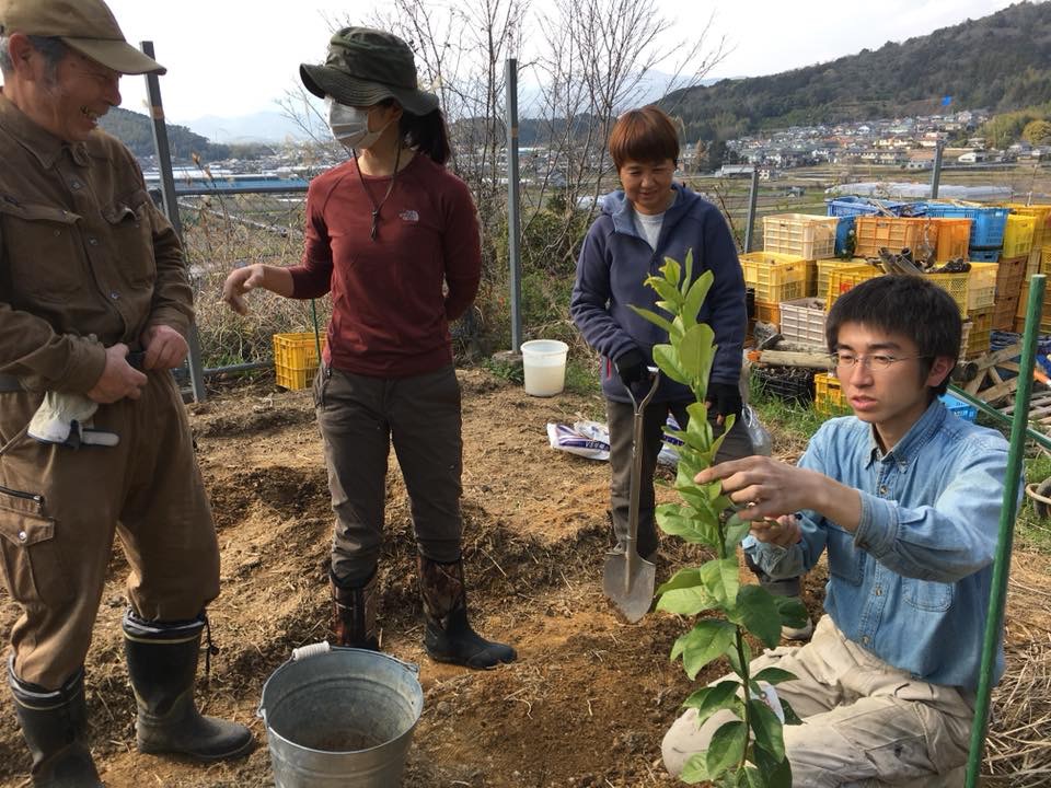 3月のみかん山自然栽培研究会♪
