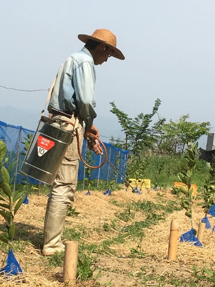 「お酢の撒布♪」