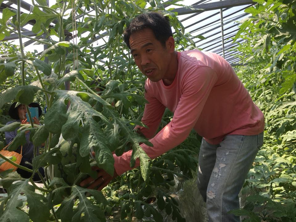 「アンテナスイカの見学ツアー♪」