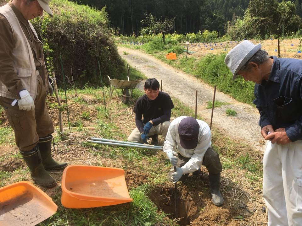 「4月のみかん山自然栽培研究会」