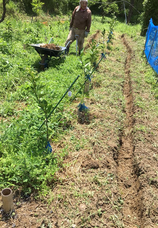「通気透水溝づくり♪」