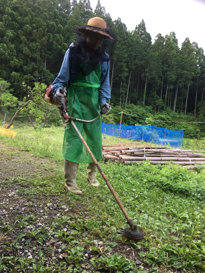 「草刈りグッズをいただきました♪」